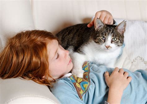 Kids And Cats Together 7 Things To Know To Keep Everyone Safe