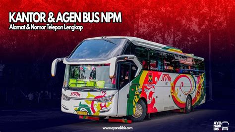 agen bos
