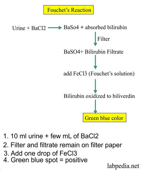 Urine Analysis Part 10 Bilirubin In Urine Bilirubinuria Labpedia Net