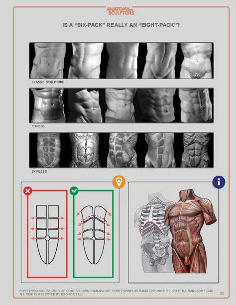 Anatomy For Sculptors 218 Zdjęć Vk Анатомическое строение тела