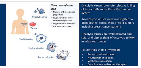Frontiers Clinical Trials Of Oncolytic Viruses In Breast Cancer