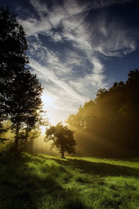 Morning Glory By Simone Colferai On 500px Mist Park Sky