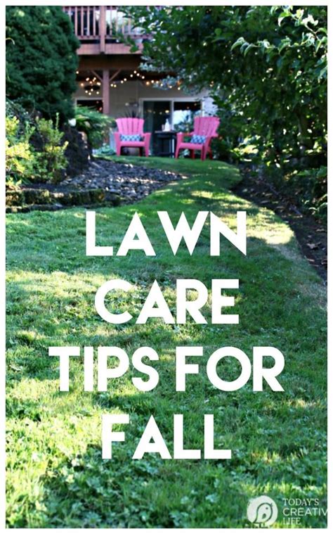 How to treat your own grass. Spring Lawn Care Tips - Winter Recovery in 2020 | Lawn care tips, Fall lawn care, Spring lawn care