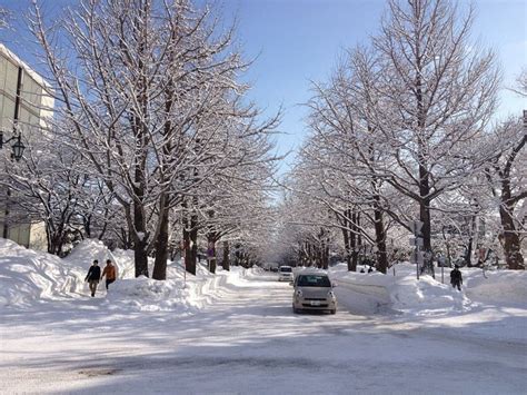 Days In Hokkaido Winter Itinerary Dec Jan Kyuhoshi