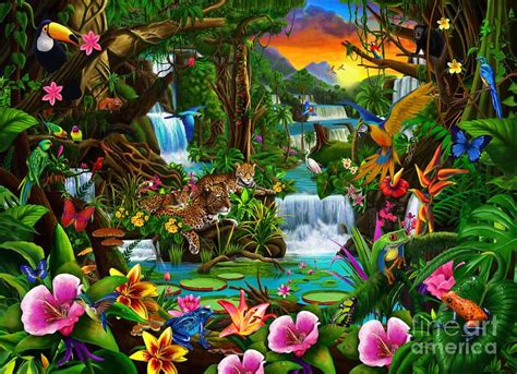 Beautiful Tropical Rainforest Drawings Beautiful Rainforest Is A