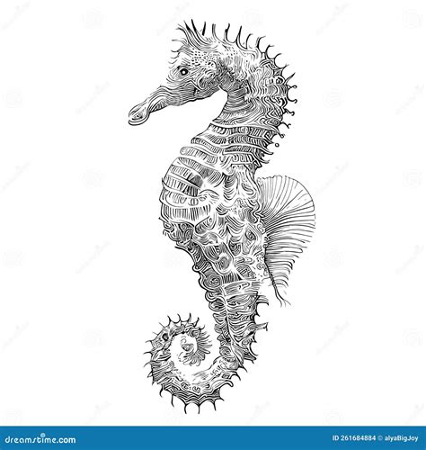 Seahorse Sketch Pattern Hand Drawn Black Seahorses On Transparent