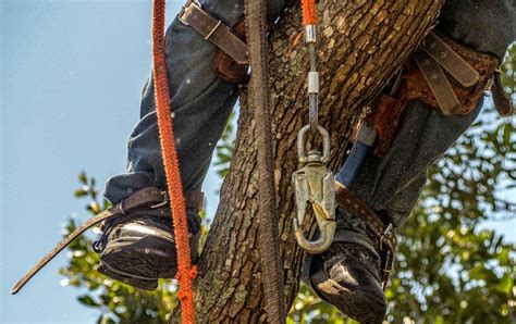 Best Tree Climbing Boots In 2022 Top Picks And Buying Guide Muddy