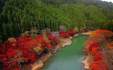 Japan River Forest Trees Autumn 2560x1600
