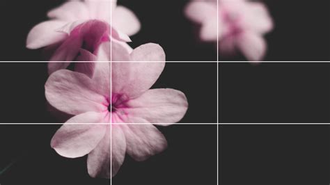 The Rule Of Thirds In Photography Is The Imaginary Alignment That Helps