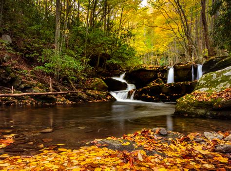 The great smoky mountains national park is close to a lot of people in the united states, and last year, we had a record number of visitors in the area. Great Smoky Mountains National Park, Tennessee, USA ...