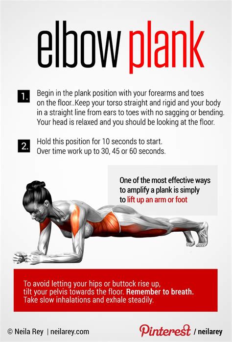 Elbow Plank Perfect Core Exercise Fitness Body Healthy Fitness