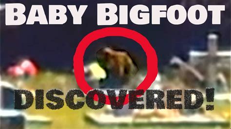 Baby Bigfoot Discovered Juvenile Sasquatch Caught On Camera Youtube