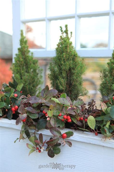 A Wonderful Winter Window Box Planter That You Can Make Even If You