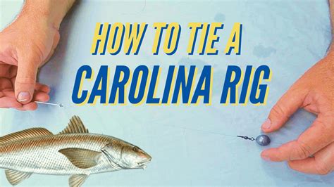 Book a room at hook, line & skipper home in corolla (north carolina), usa. Carolina Rig Setup: Carolina Rig for Surf Fishing - Cast ...