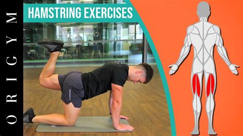 How To Build Hamstring Muscles Best Bodyweight Exercises Exercise