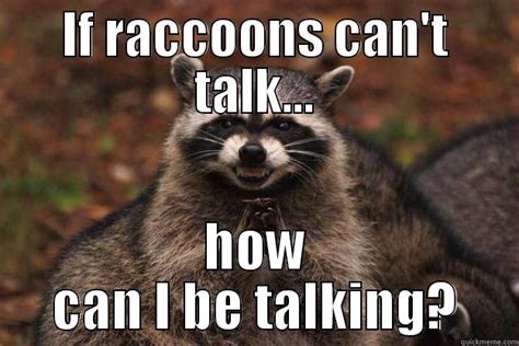 Talking Raccoon Says Quickmeme