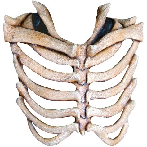 Rib Cage Free Download Png Png All Png All