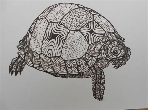 Zentangle Tortoise Tortoise Drawing Tortoise Tattoo Victoria Art
