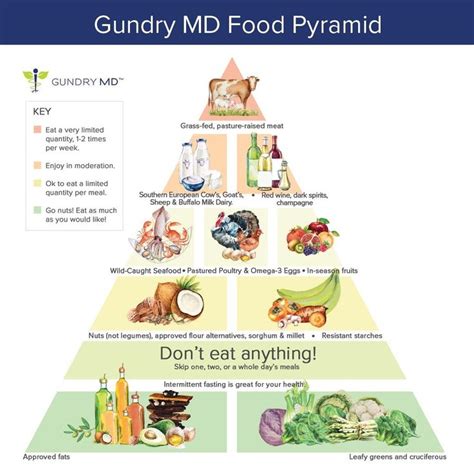 The “gundry Food Strategy” For Vitality In 2021 Food Pyramid Pasture
