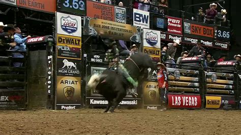 Pbr Bull Riding Wallpaper 69 Images