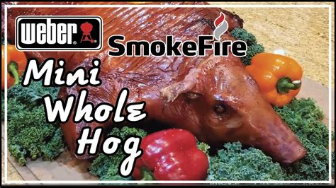 Mini Whole Hog Weber Smokefire Ex Pellet Grill Bbq Pitmaster Harry