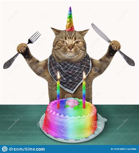 Happy birthday lexxi gynoid sluniverse forums. Cat Unicorn With A Birthday Cake Stock Image - Image of ...