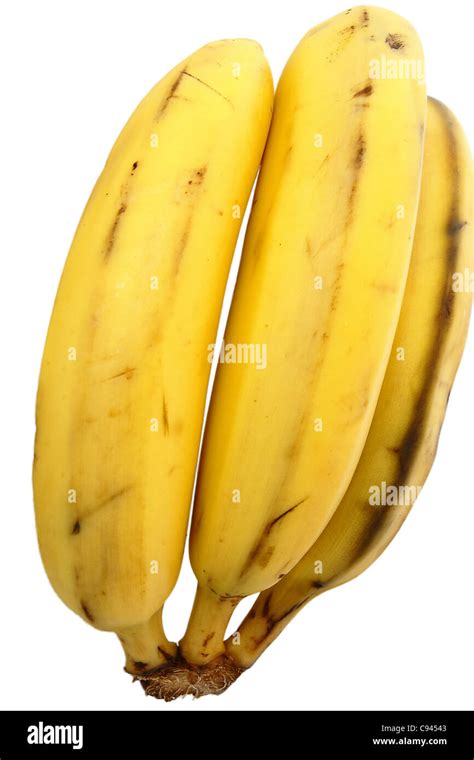 Fresh Bananas Isolated On The White Background Stock Photo Alamy