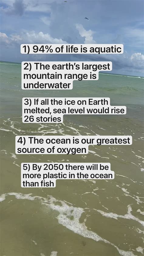 5 Incredibly Interesting Facts About Oceans In 2022 Fun Facts Ocean