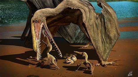 Ancient Flying Reptiles Cared For Their Young Fossil Trove Suggests Science Aaas