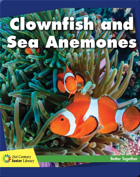 Clownfish And Sea Anemones Childrens Book By Kevin Cunningham