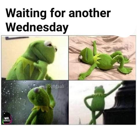 Wednesday Frog Memes Comics And Memes