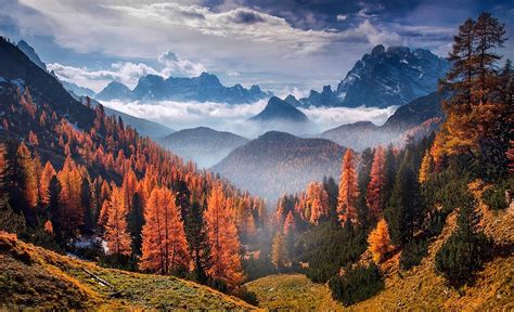 Forest Landscape Clouds 4k Hd Nature 4k Wallpapers Images