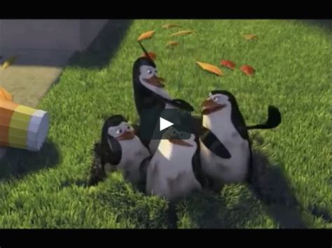 Madagascar Trailer On Vimeo