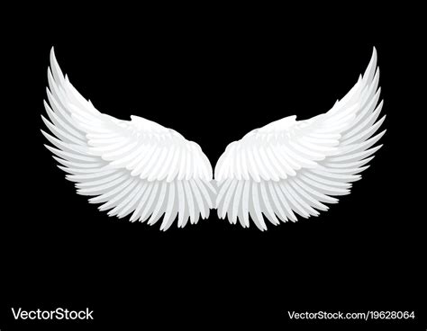 realistic white angel wings royalty free vector image