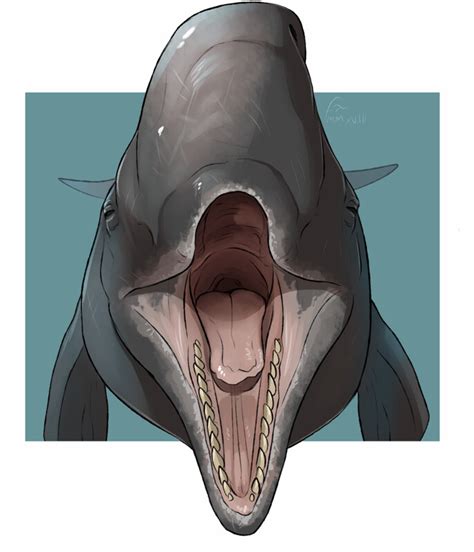 Get inspired by our community of talented artists. Whale Mawshot Furaffinity - 800 Monster Ideas Fantasy ...