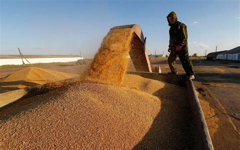 Grinding wheat requires only a few steps. Pakistan to import Russian wheat