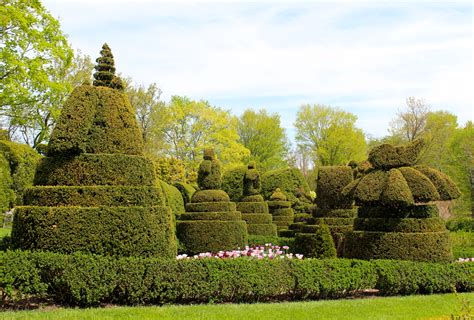 Find pricing, reviews and reserve for pick up in many, la. Ladew Topiary Gardens - Landscape NotesLandscape Notes