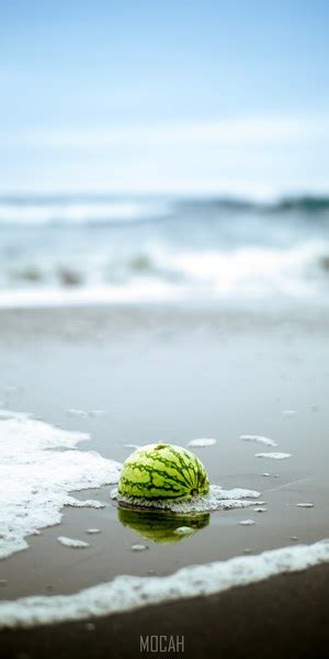 Watermelon Buried Half In Sand With Ocean Foam Around At Ocean Beach