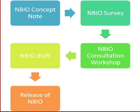 Phases Of Nbio Development Download Scientific Diagram