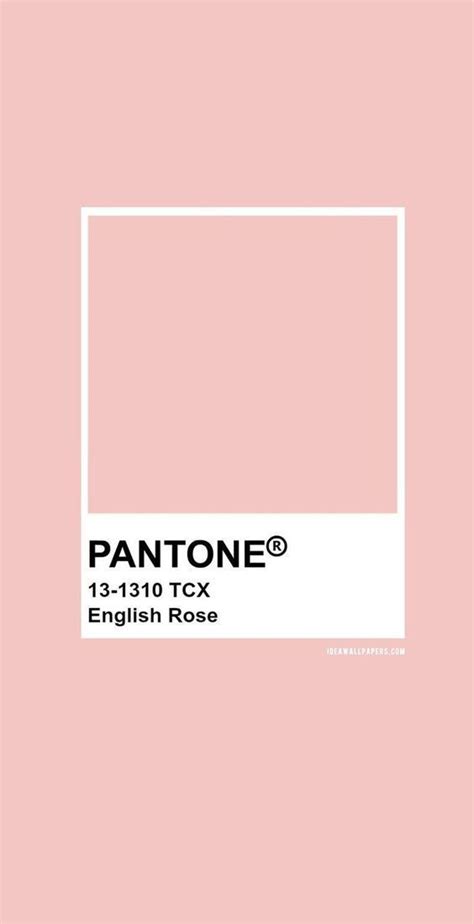 Pantone Pantone Colour Palettes Pantone Palette Pantone Color