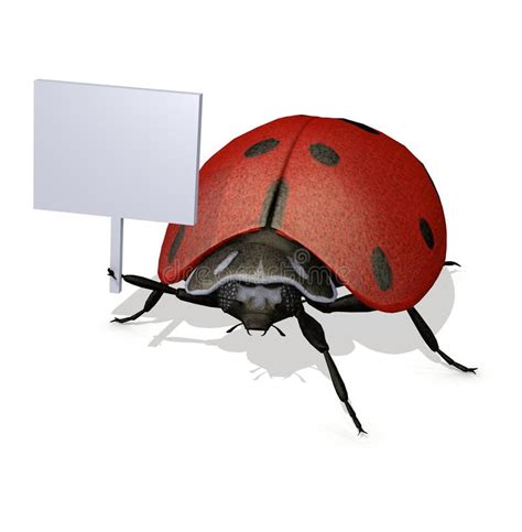 Cute 3d Lady Bug Holding Blank Sign Stock Illustration Illustration