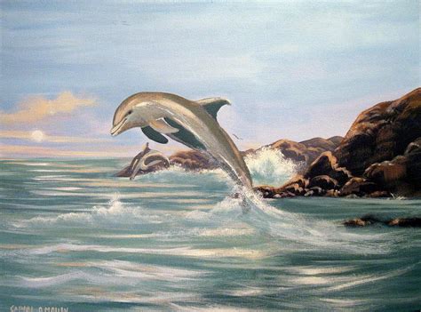 Sunset Dolphins Painting By Cathal O Malley