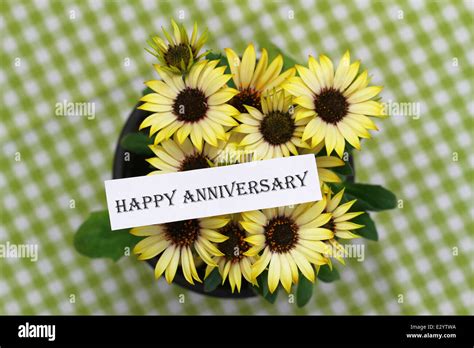 Happy Anniversary Card With Yellow Daisies Stock Photo Alamy