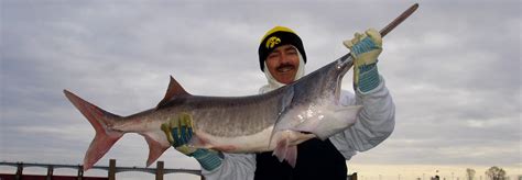 Dave K Caught This Massive Paddlefish On The Mississippi River In Iowa