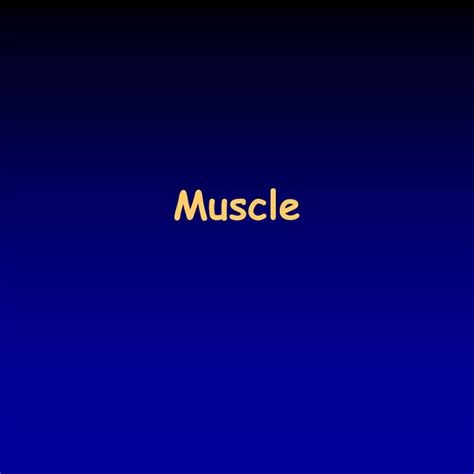 Ppt Muscle Powerpoint Presentation Free Download Id6792601