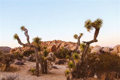 7 Must Do Things To Do In Pioneertown An Old West Town Near Joshua Tree
