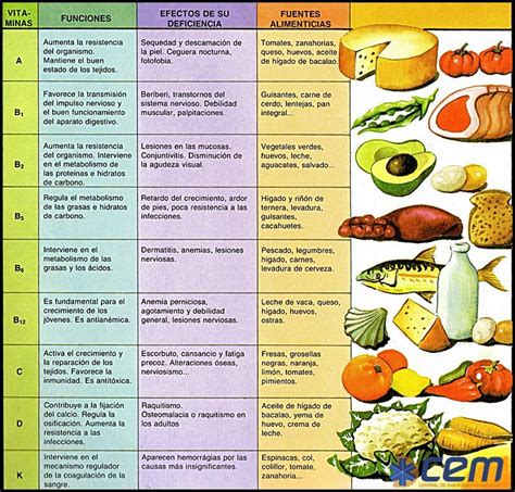 Las Vitaminas Y Sus Propiedades Para Nuestro Organismo Vegetales Y