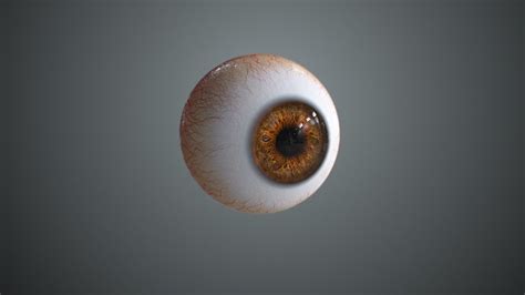 Keep one's eyes peeled for (someone or something). Realistic 3D eye model for Arnold Render - YouTube