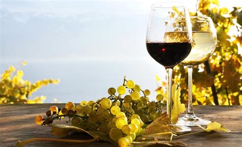 Angora capernet sauvignon kalecik karasi 2009 er 0,75 l 14 % kavaklidere. Şarap Fiyatları 2020 Ne Kadar?