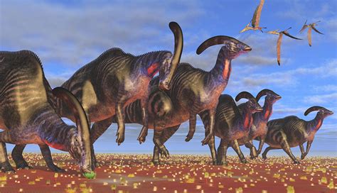 News Brief Dinosaurs Who Toot Their Own Horns Box New York Tech